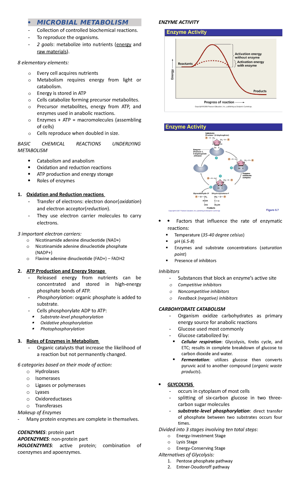 Micro-reviewer-2 - MICROBIOLOGY REVIEWER - MICROBIAL METABOLISM ...