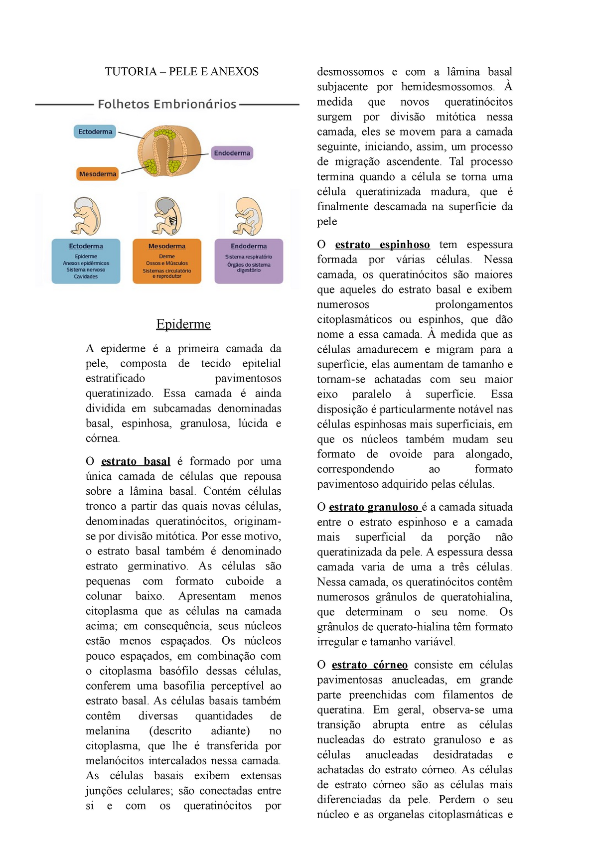 Estudo Sobre O Sistema Tegumentar E Sua Estrutura - TUTORIA – PELE E ...