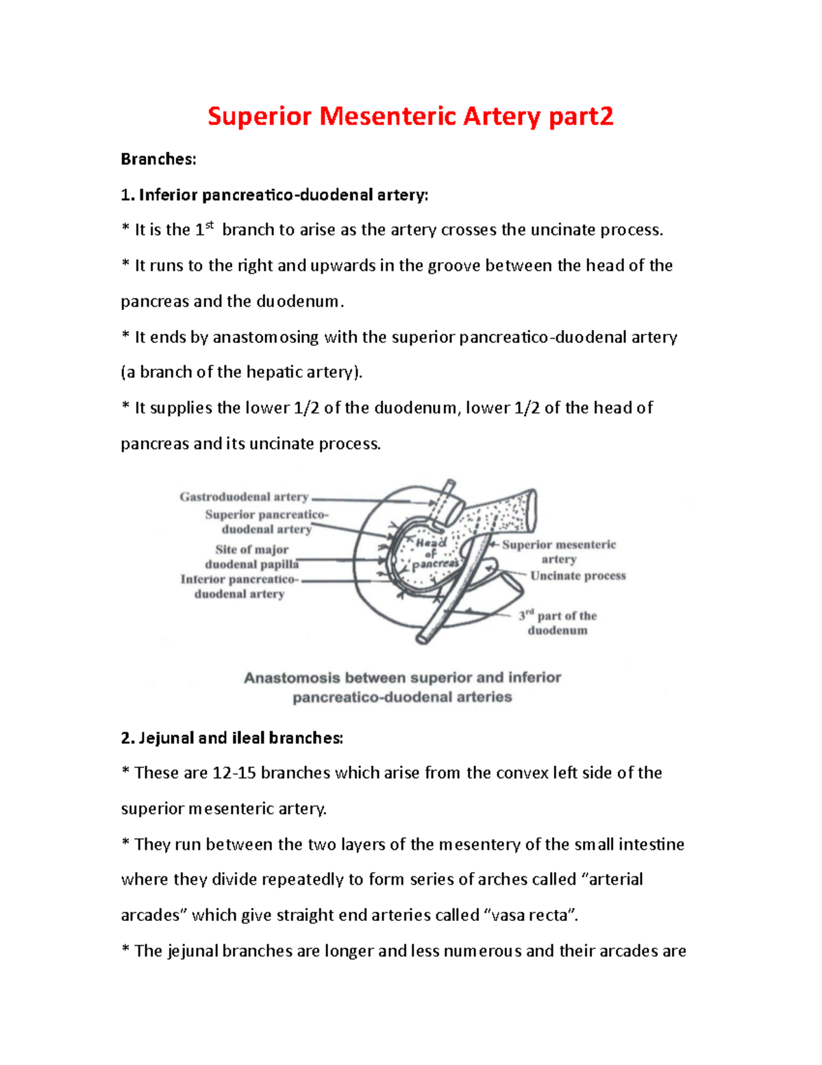 Superior Mesenteric Artery part2 - Superior Mesenteric Artery part ...