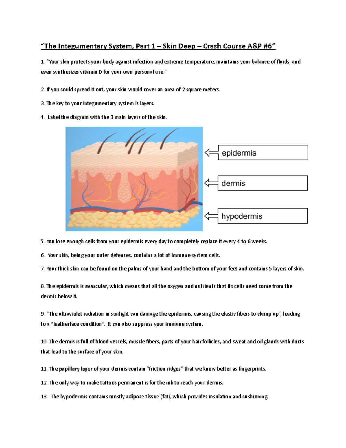HSI Crash Course 6,7 Integumentary System worksheets - “The ...