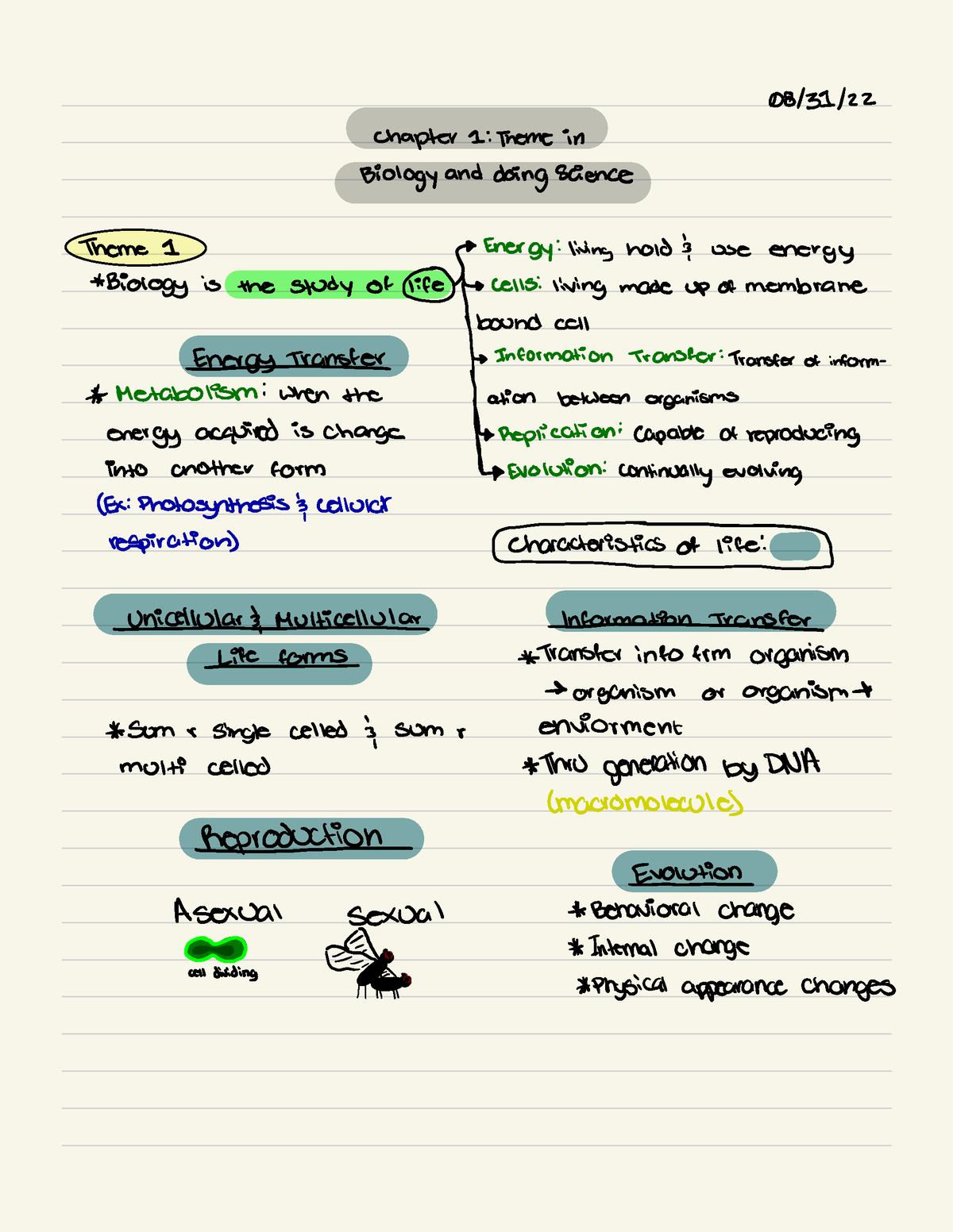 Bio -151-B Notes - 08/31/ Chapter 1 : Theme In Biology And Doing ...