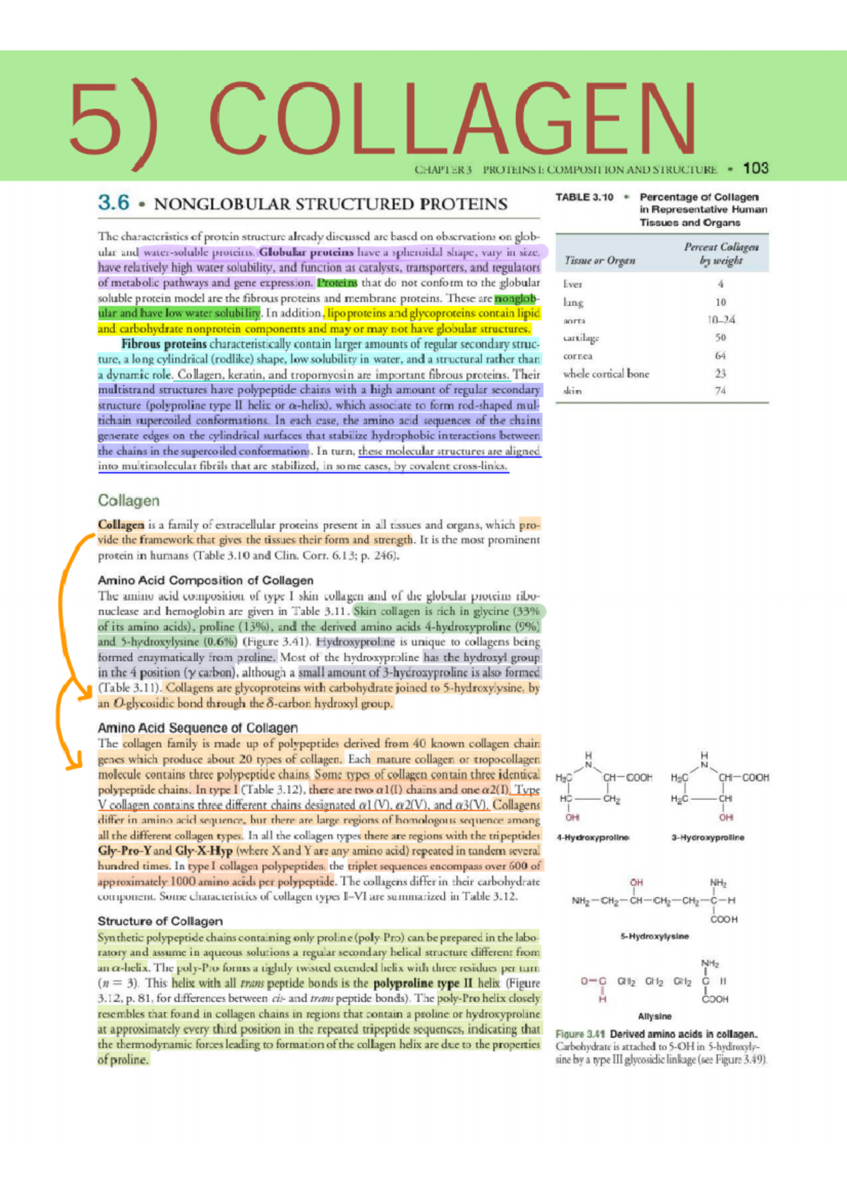 Dat Biochemistry:  The Hidden Secrets To High Scores - 2rphuwg