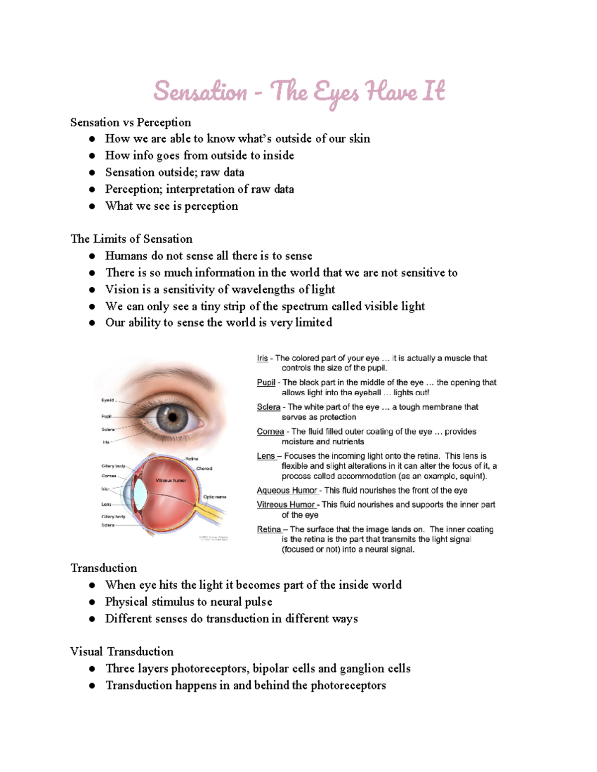 Sensation - The Eyes Have It - Sensation - The Eyes Have It Sensation ...