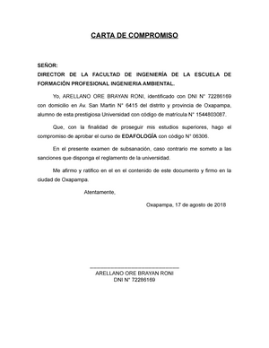 Modelo de Carta de Compromiso para llevar examen de subsanacion durante la  etapa de pandemia - Studocu