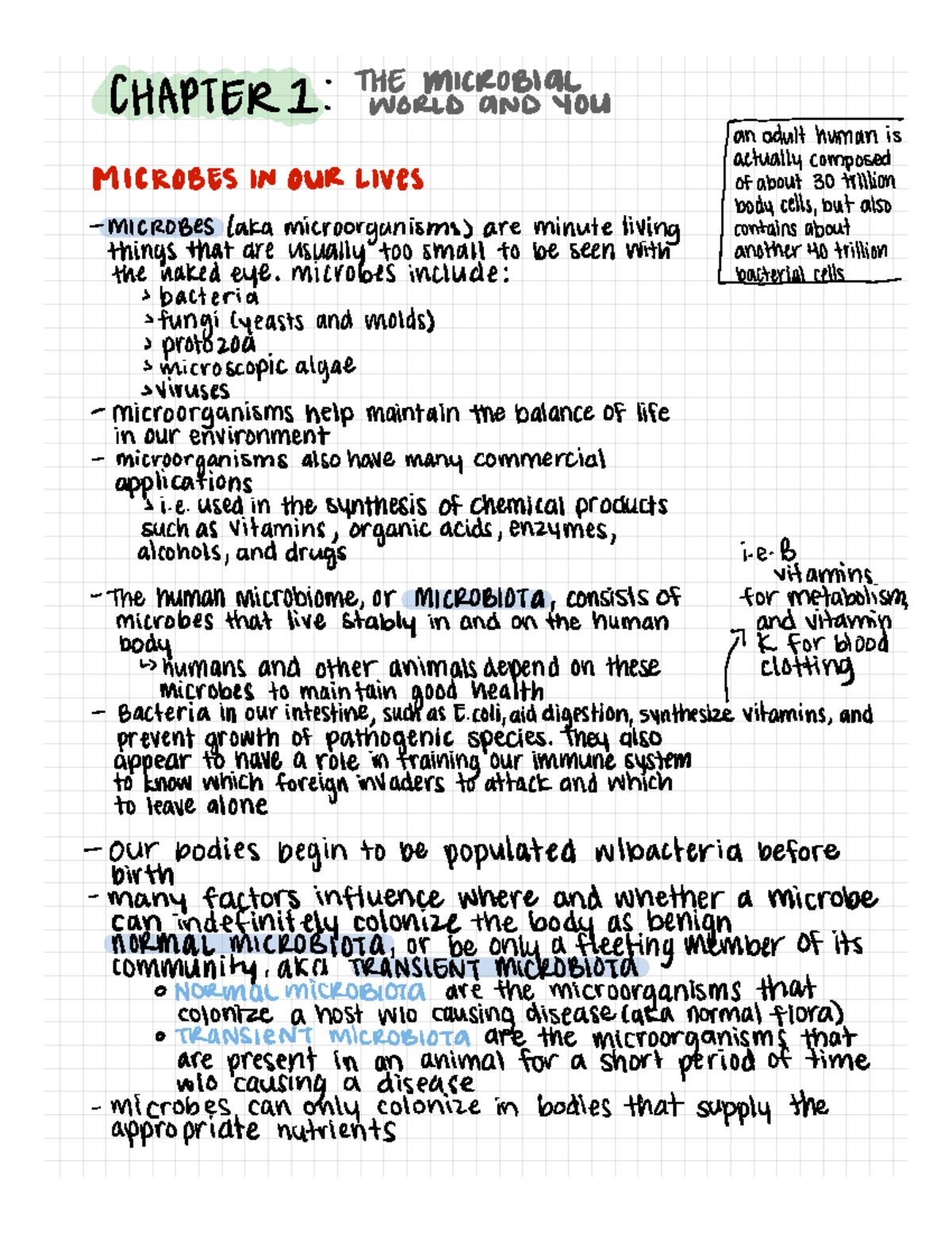 Microbiology Notes Chapter 1 - BIOL 203 - Studocu