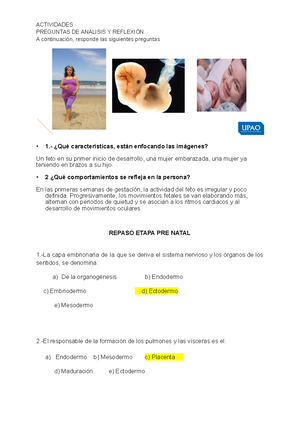 Ejercicios semana 11 - 1 Ejercicios semana 11 Suponga que PK = $ 1, PL ...