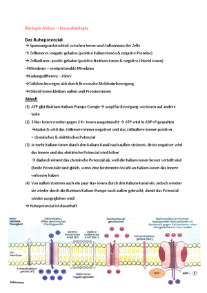 Bio Hefter Semester 2 Aufgaben vom Biologie Leistungskurs Studocu
