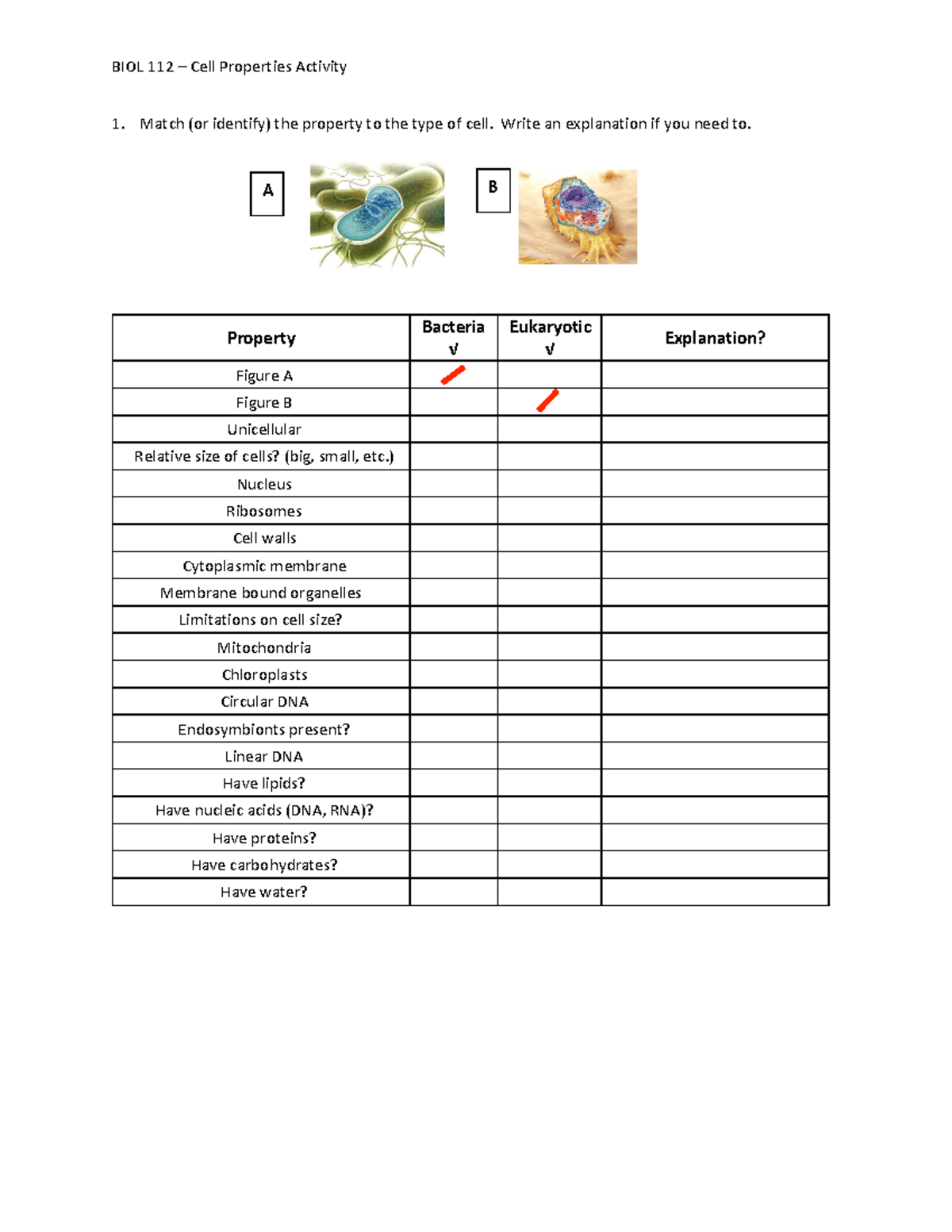 Cell Properties Worksheet - BIOL 112 – Cell Properties Activity 1 ...