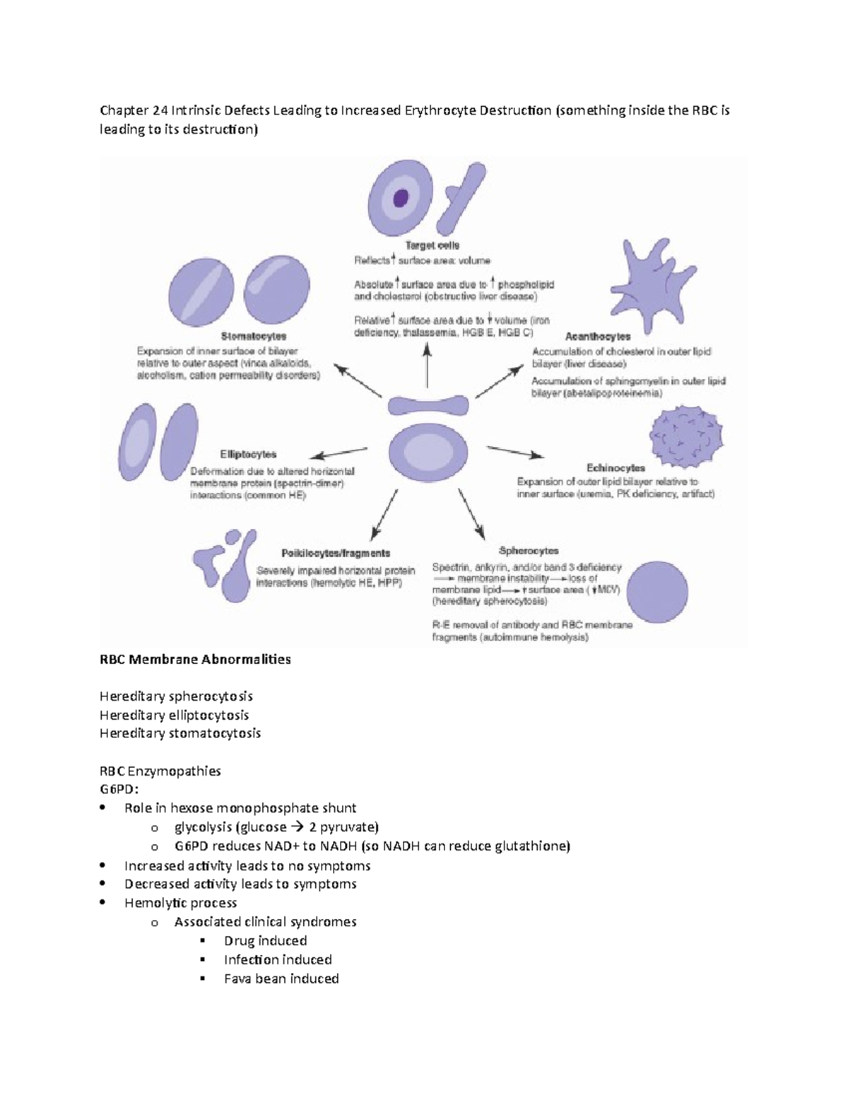 Extrinsic Defects Leading To Increased Erythrocyte Destruction Immune