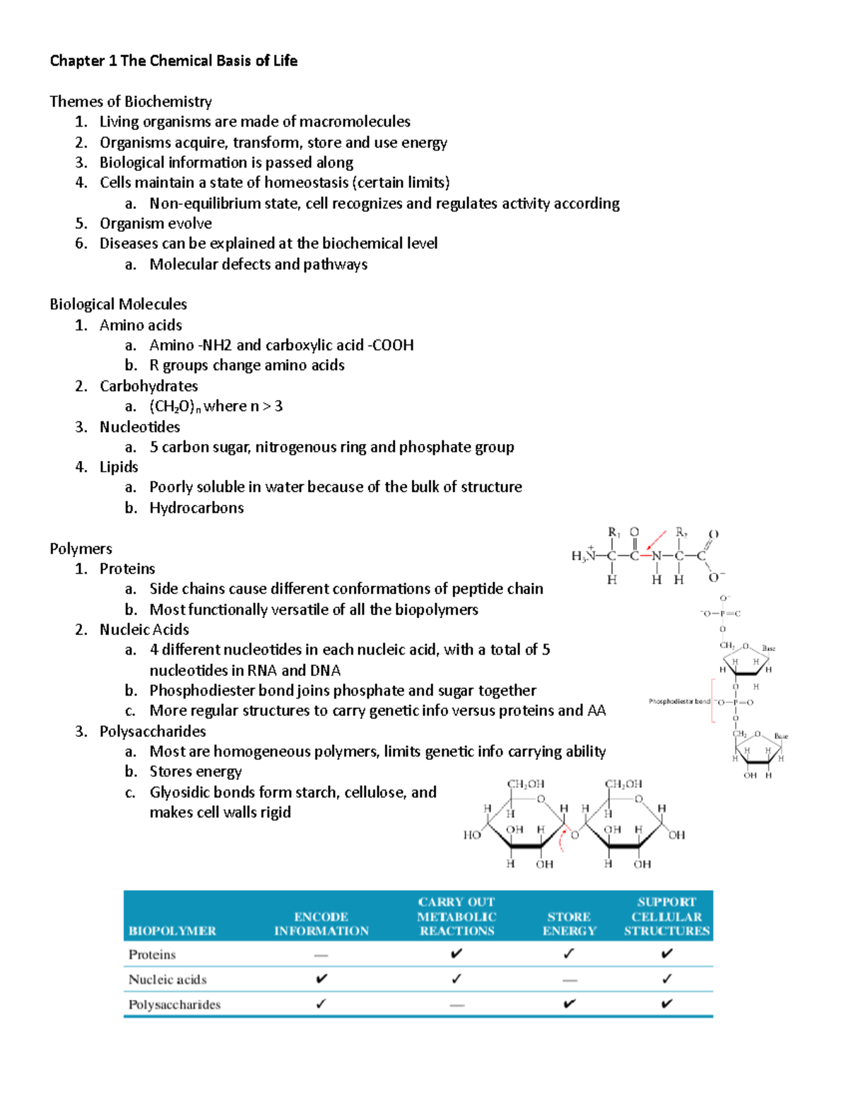 BC 2BB3 - Lec Notes - Chapter 1 The Chemical Basis Of Life Themes Of ...