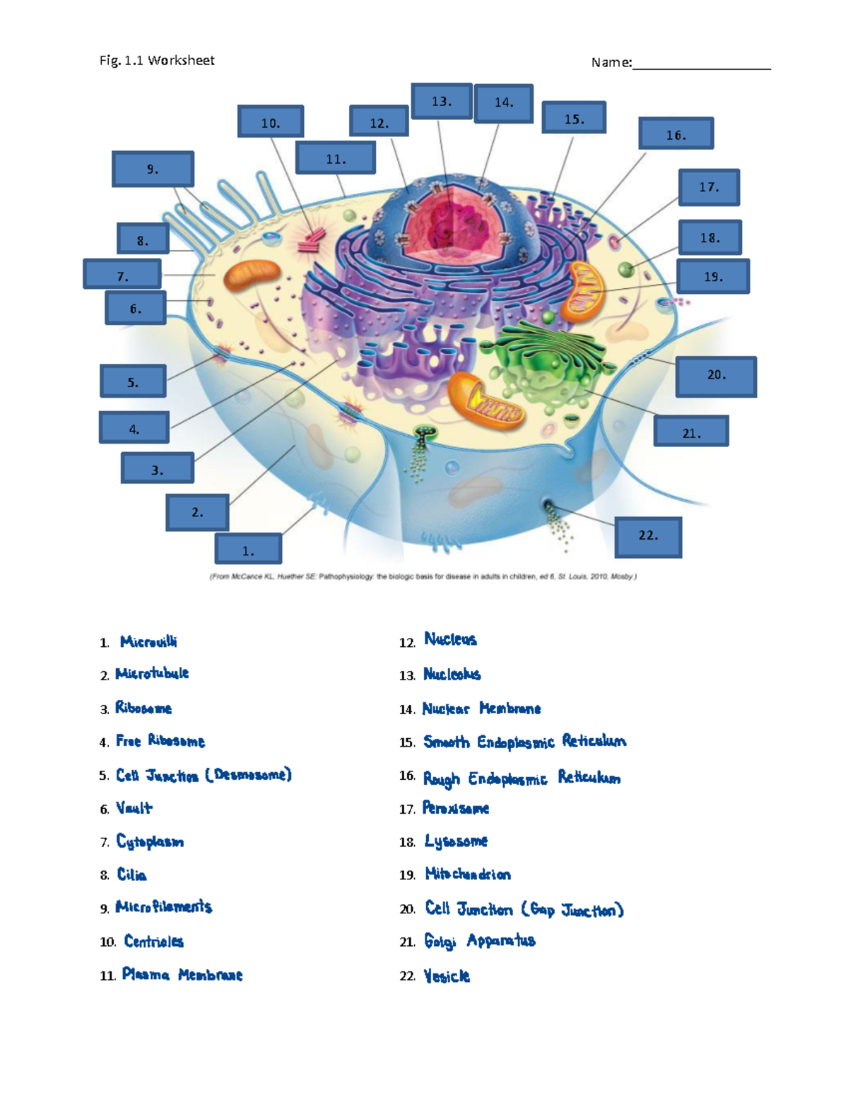 DH110 Module 1 Figure 1.1 Worksheet - Fig. 1 Worksheet 1. 1 2. 2. 13. 3 ...