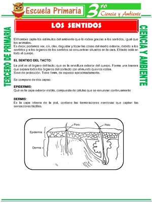 Ficha la autoestima para Cuarto de Primaria - Reflexiona y responde ...