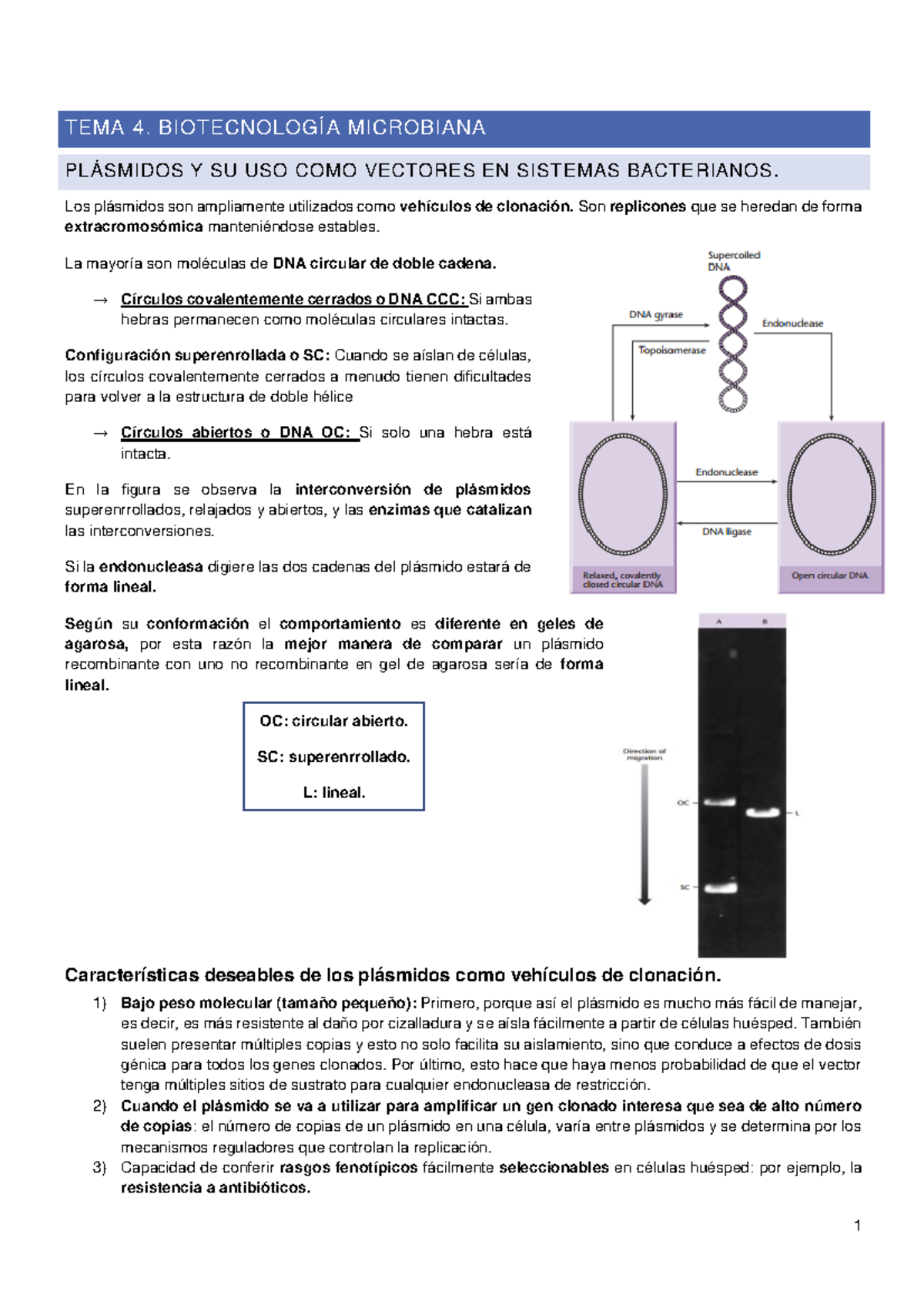 TEMA 4 Fundamentos De Biotecnología - Warning: TT: Undefined Function ...