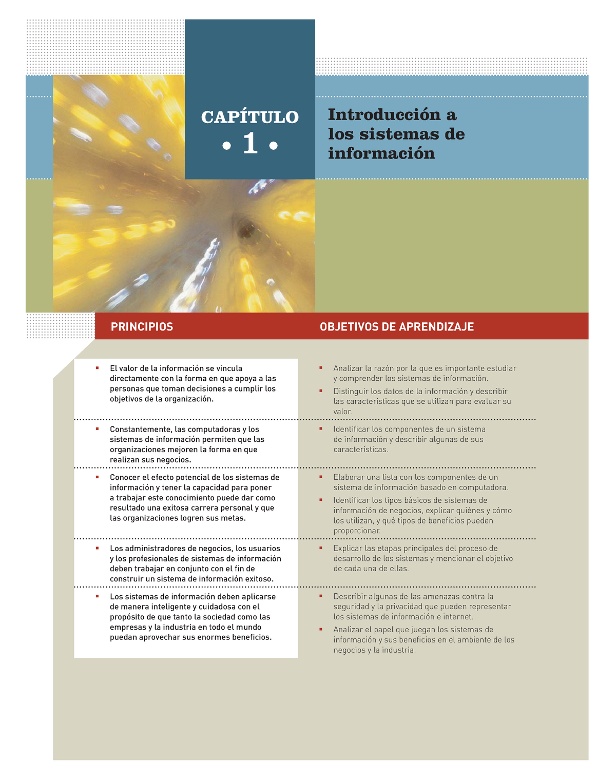 Introducción A Los Sistemas De Información Libro - CAPÍTULO ...