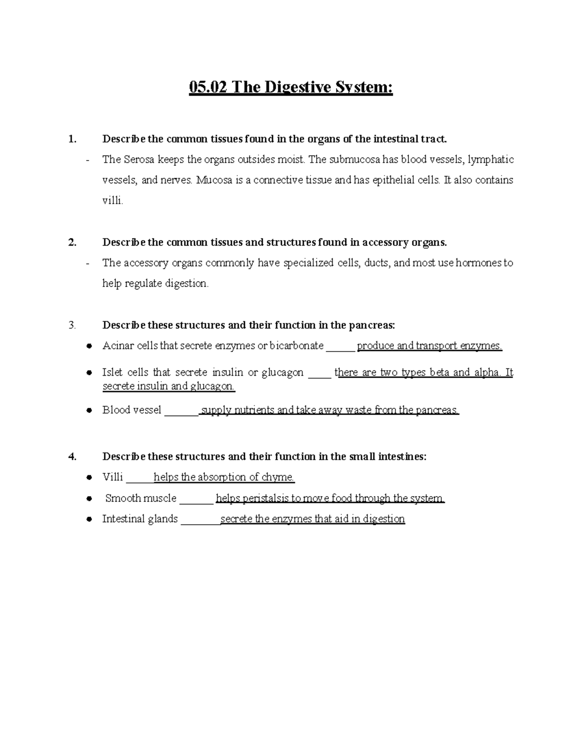 05.02 The Digestive System - 05 The Digestive System: Describe the ...