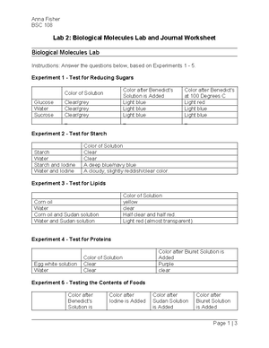 Lab 4 Enzyme Worksheet - Lab 4 for bsc 108 - Anna Fisher BSC 108 Lab 4 ...