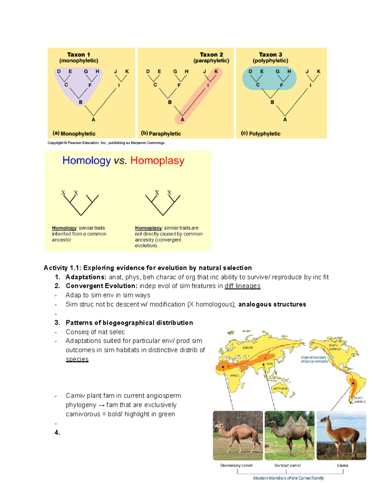 Bio 202 Lab 1 Evidence Of Evolution Notes - Activity 1: Exploring ...