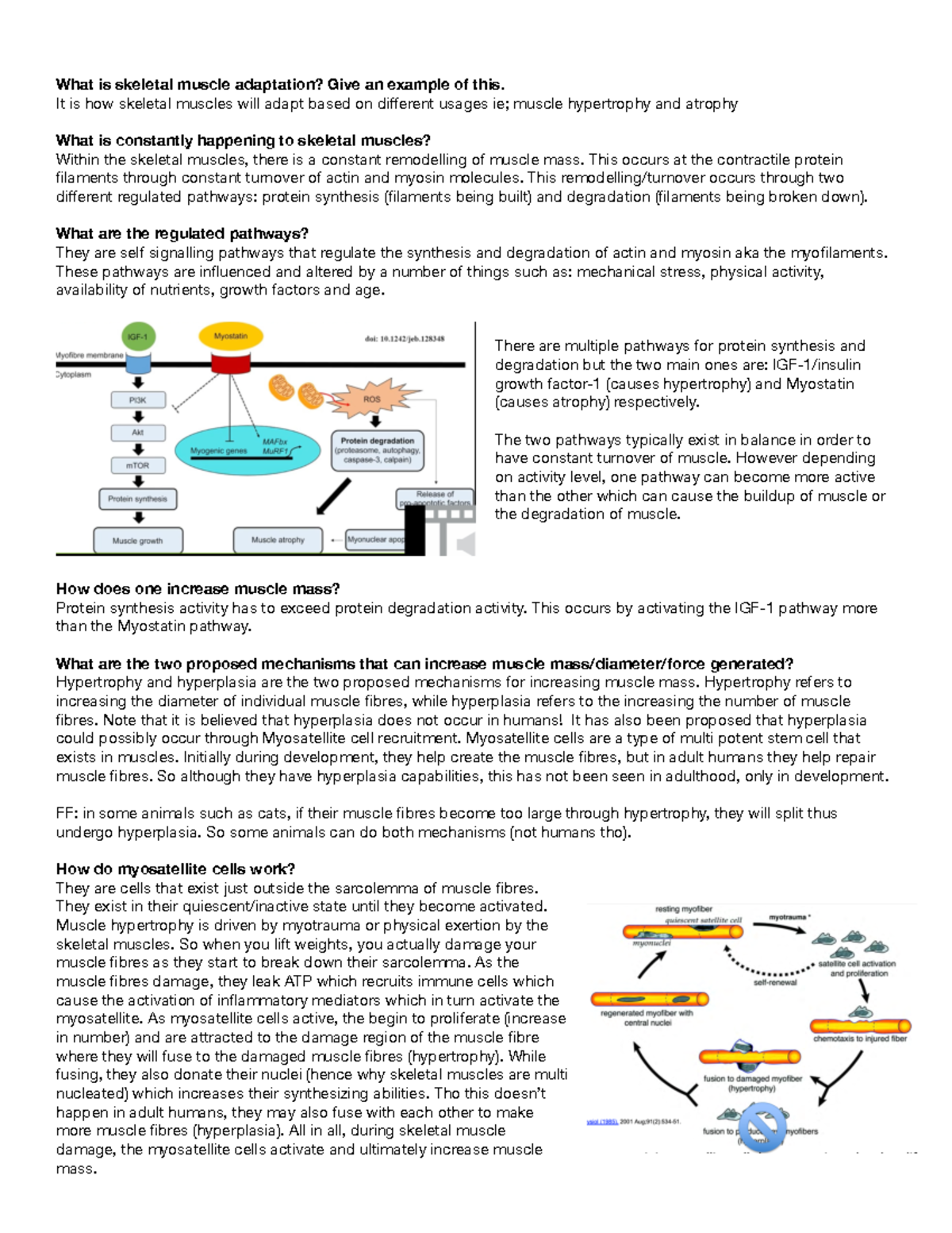 lecture-8-4-pdf-nil-what-is-skeletal-muscle-adaptation-give-an