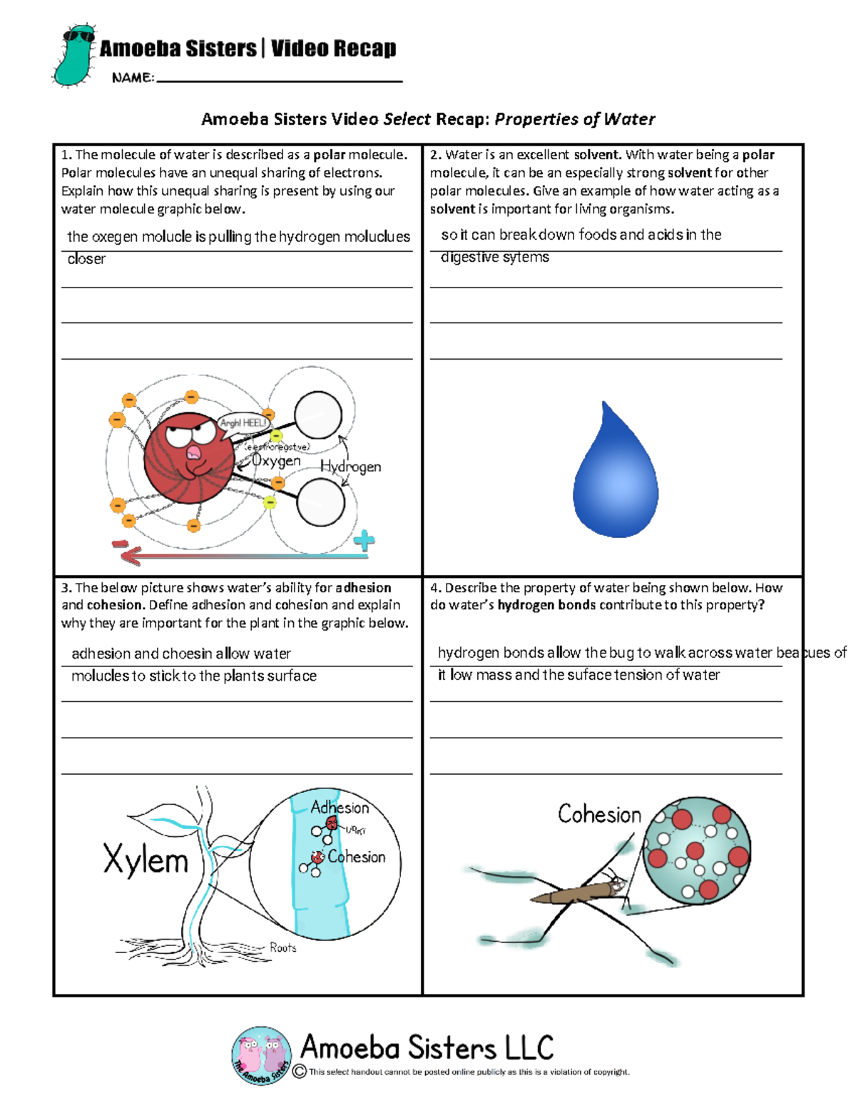 Amoeba Sisters Video Recap More Properties Of Water Illustrated Answer Key