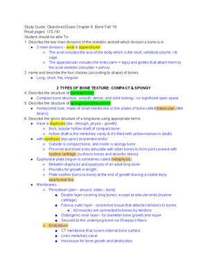 What is Mammals - explaining thing - What is Mammals? Mammals are a