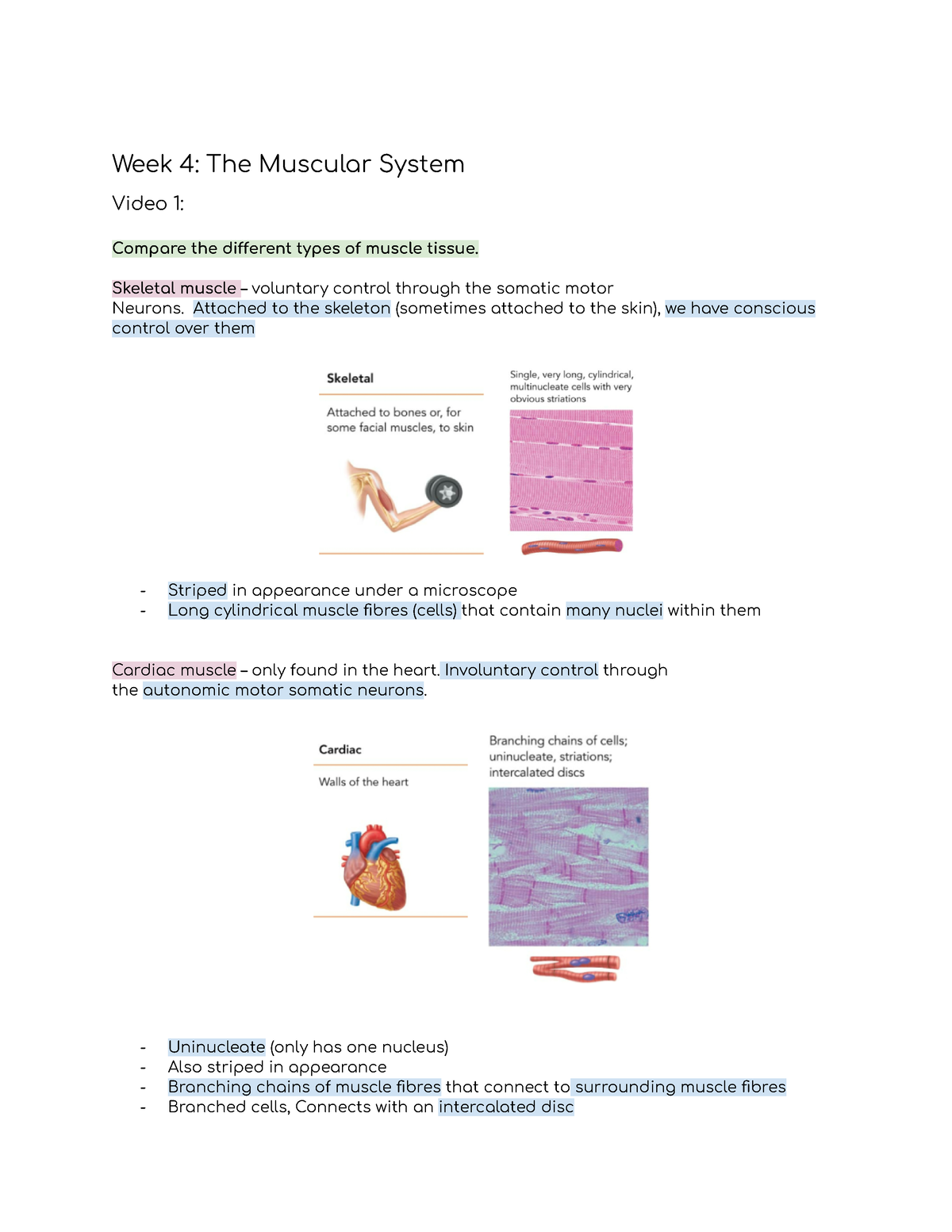 The Heart - Compare the different types of muscle tissue. Skeletal ...