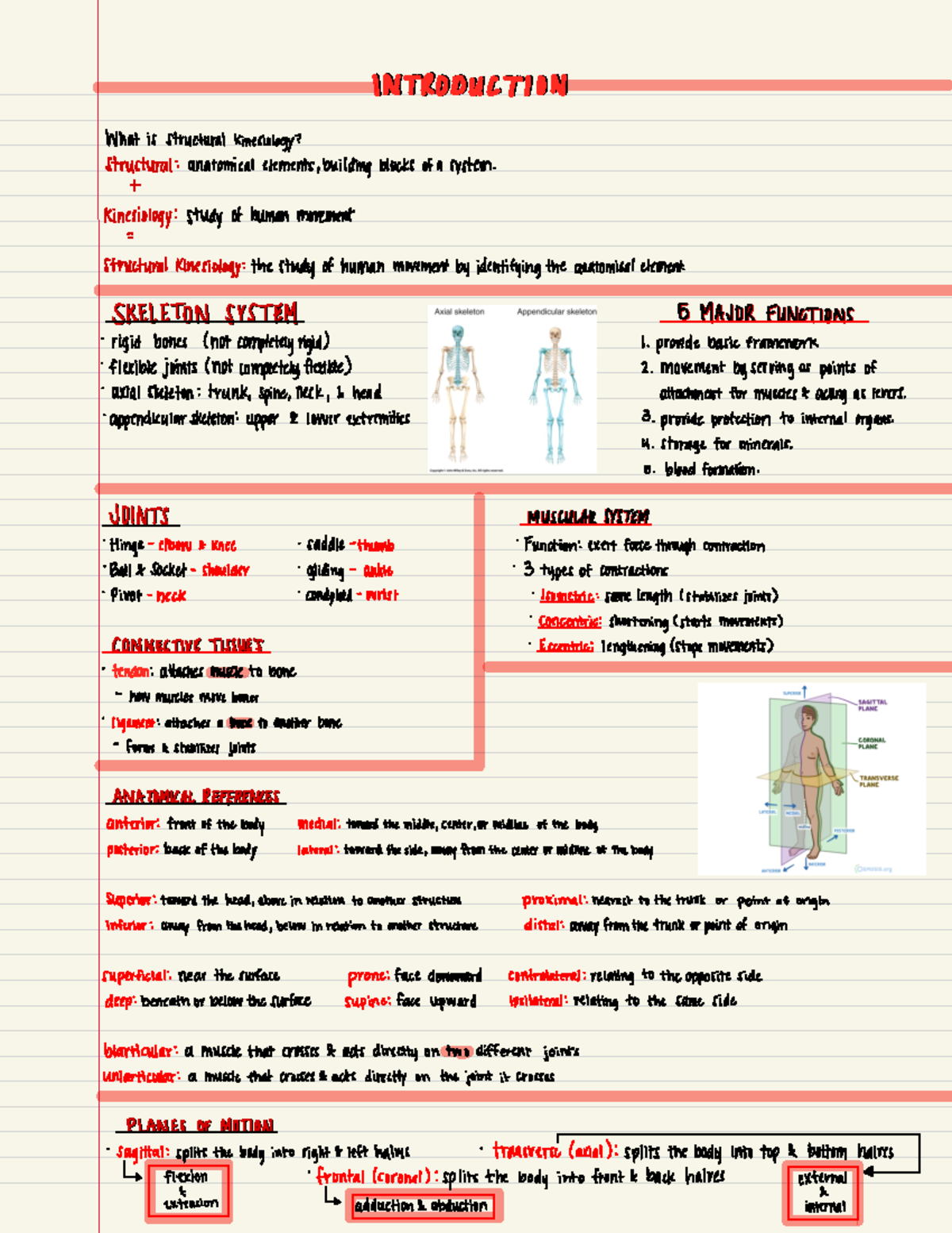 Introduction to Kinesiology INTRRODDM CII O N Whatis structural