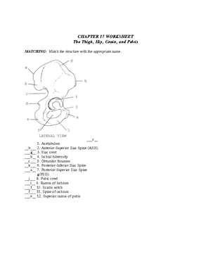 BMD 252 Final Exam Study Guide - BMD 252 (A&P II) Final Exam Study ...