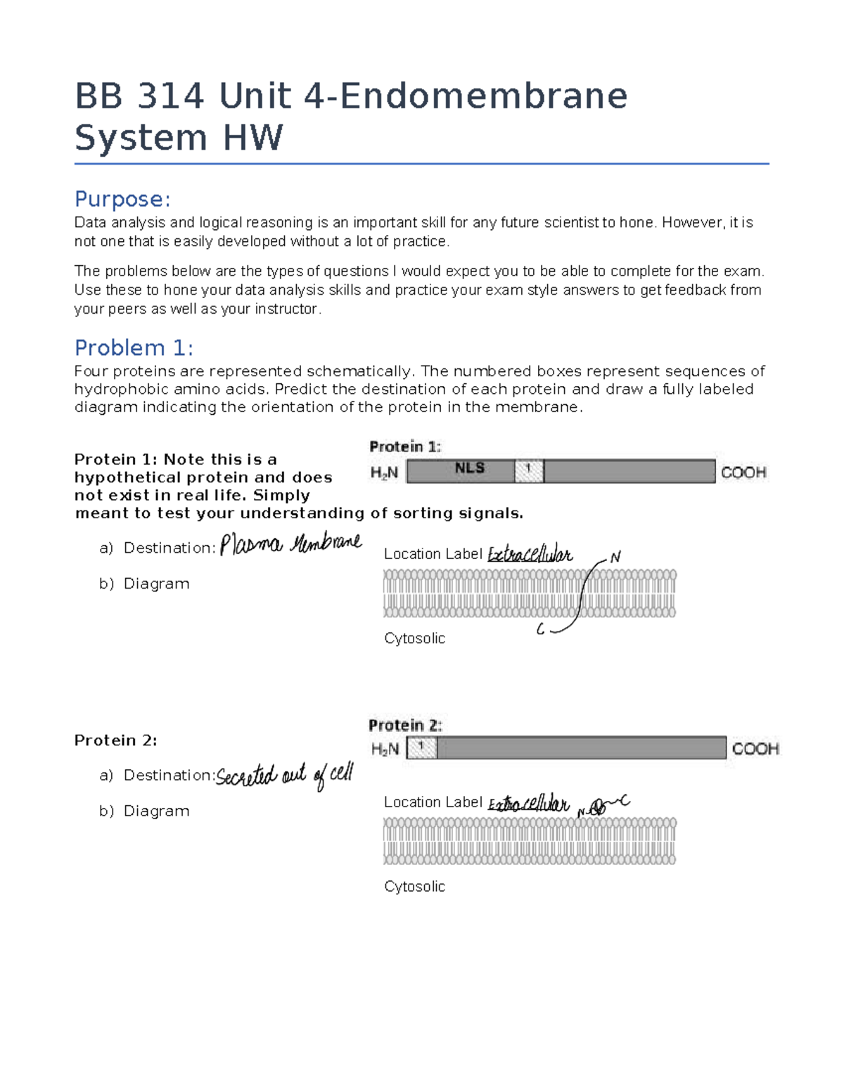 Unit 4 Endomembrane Homework Tagged BB 314 Unit 4Endomembrane