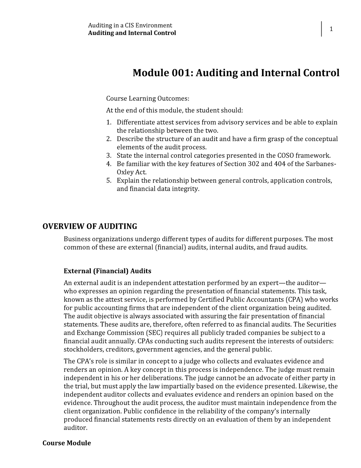 W1 Module 1 Auditing And Internal Control - Auditing In A CIS ...