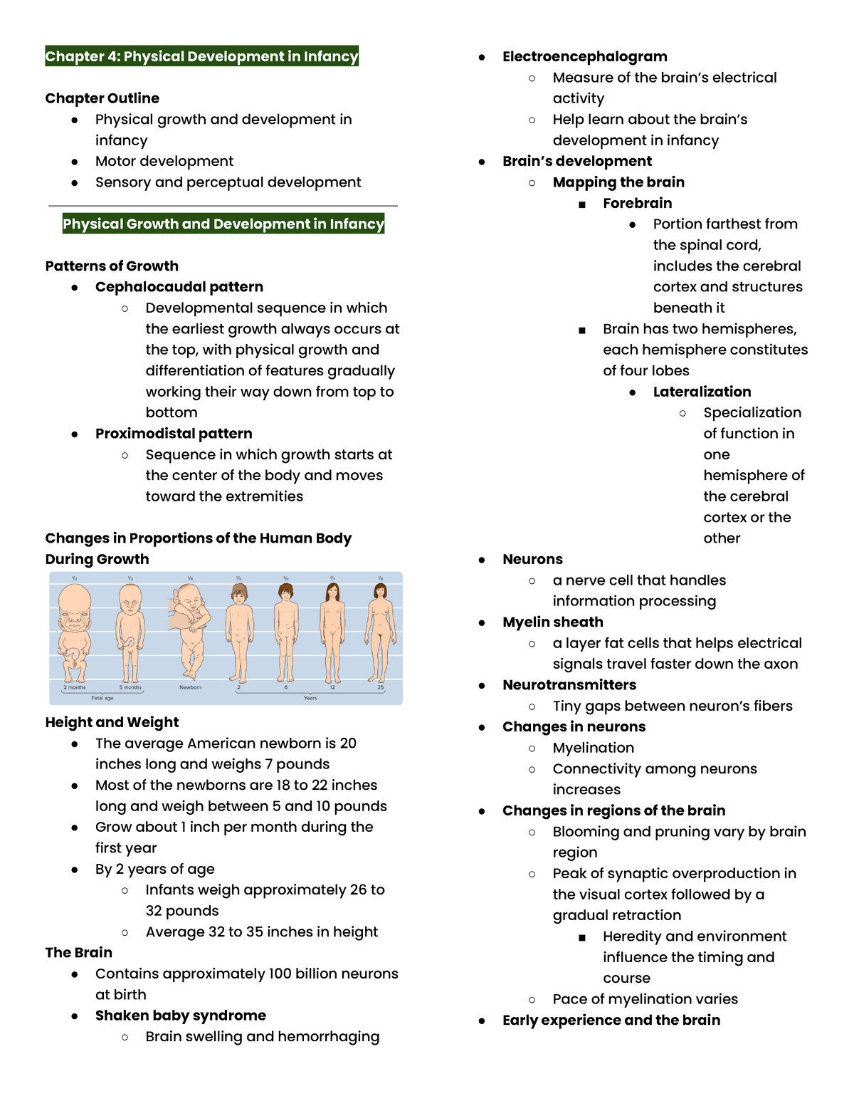 Devpsych Infancy - Chapter 4: Physical Development In Infancy Chapter ...