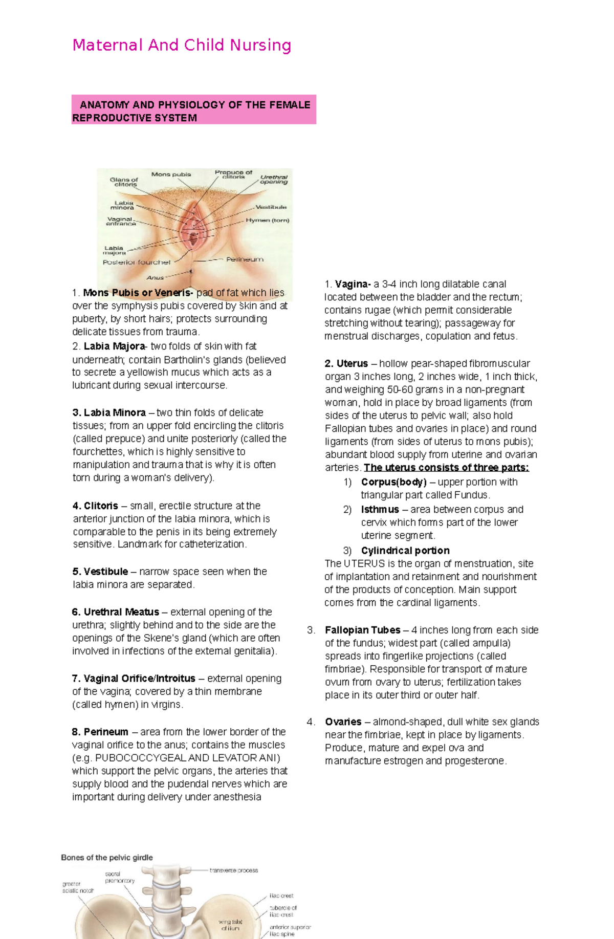 Anatomy AND Physiology OF THE Female Reproductive System - : Mons Pubis