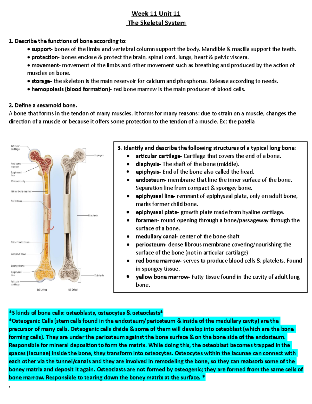 Week 11- Unit 11- Skeletal System - Week 11 Unit 11 The Skeletal System ...