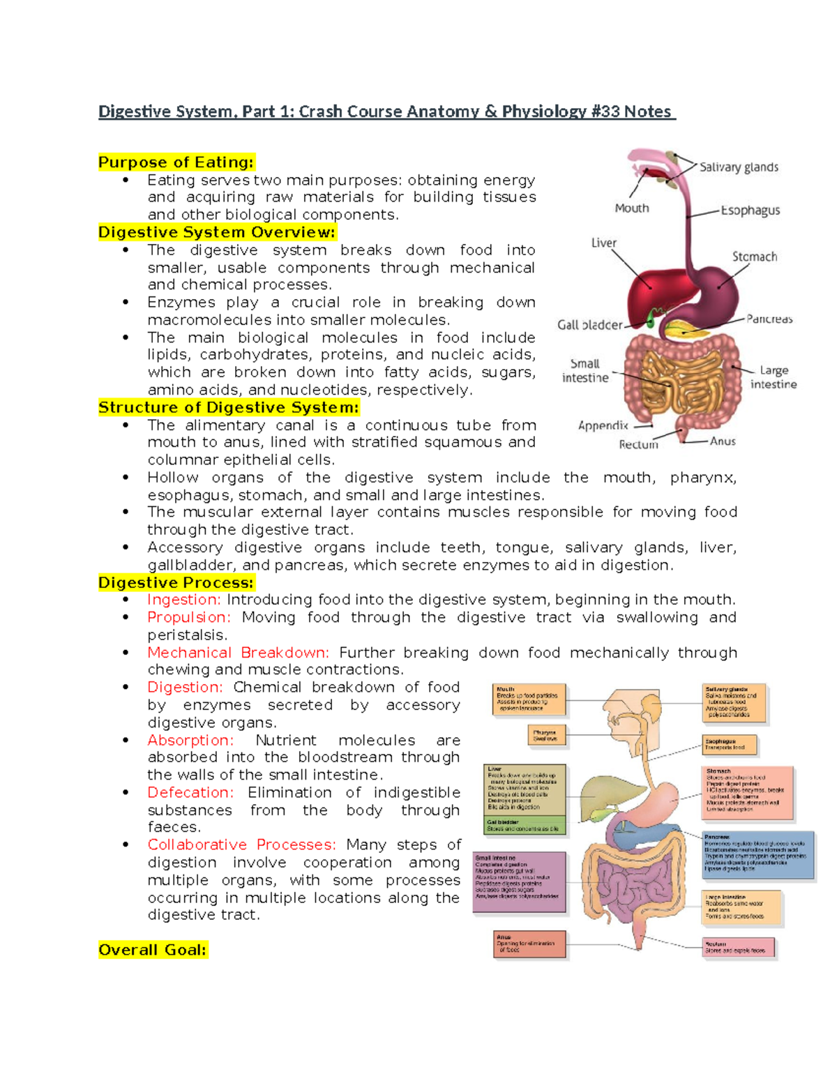 Digestive System - Digestive System Overview: The digestive system ...