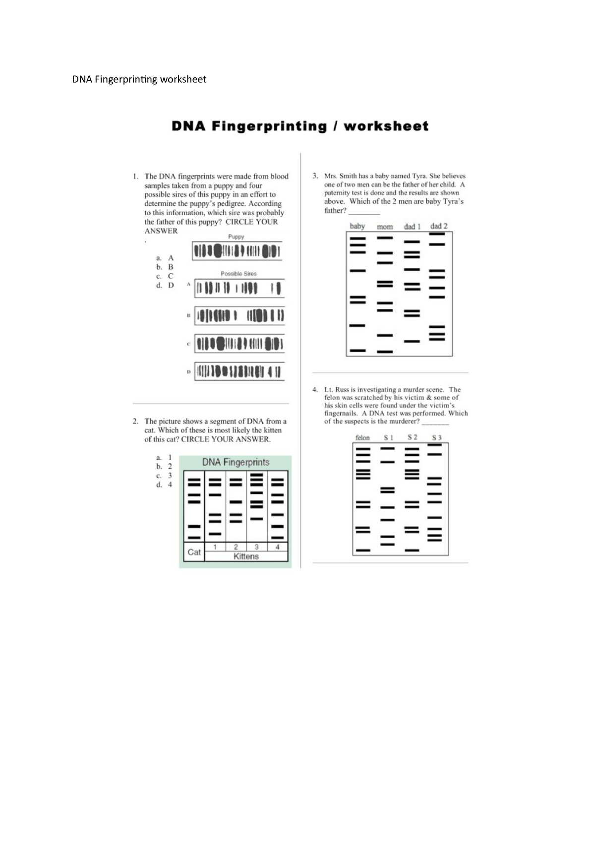 DNA Fingerprinting worksheet - F21FD - StuDocu With Regard To Dna Fingerprinting Worksheet Answers