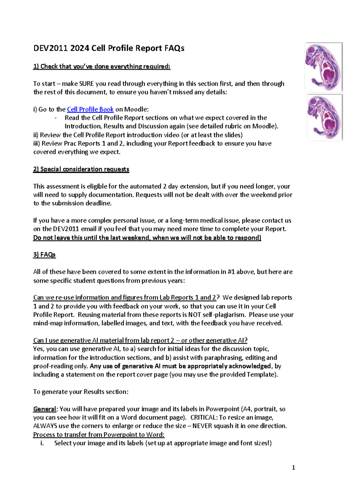 Michael Stein'S Death:  A Comprehensive Report & Faqs - 3yvis24