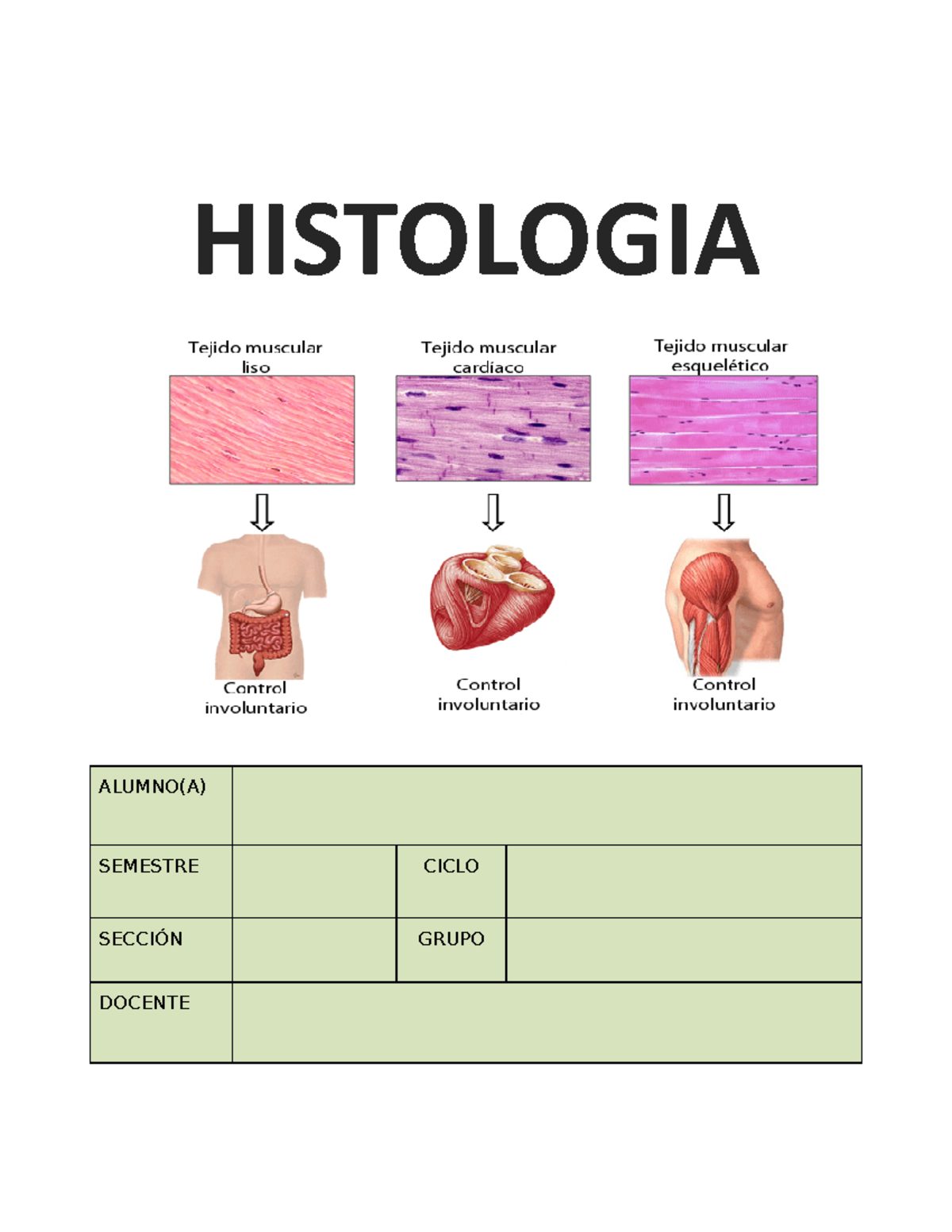 GUIA Practica DE Histologia SEM 10 - GUIA 10 B - HISTOLOGIA ALUMNO(A ...