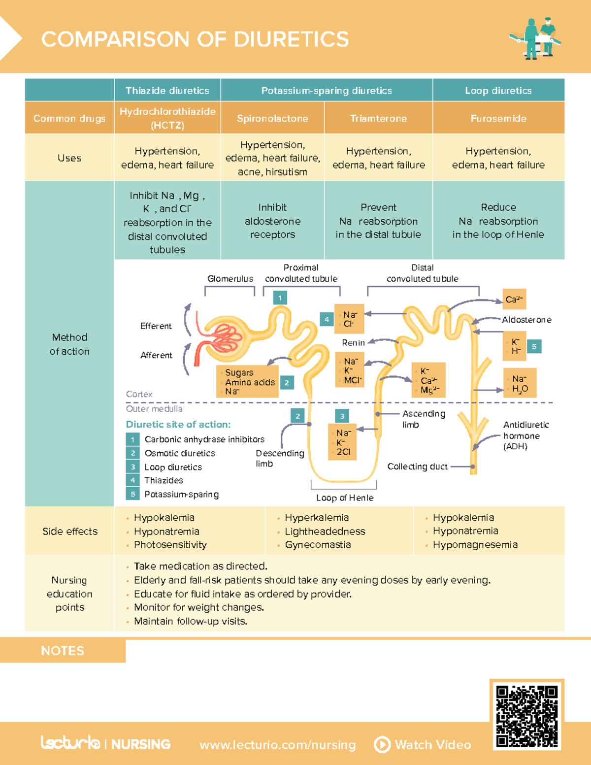 Nursing CS Comparisonofdiuretics 02 Uses Side effects Nursing