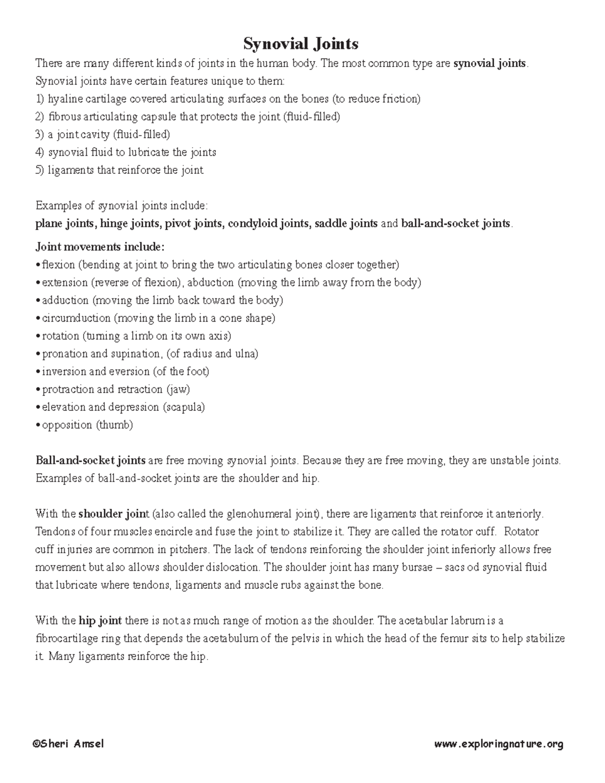 Synovial Joints: The Ultimate Drag And Drop Challenge - 3t8xoqo