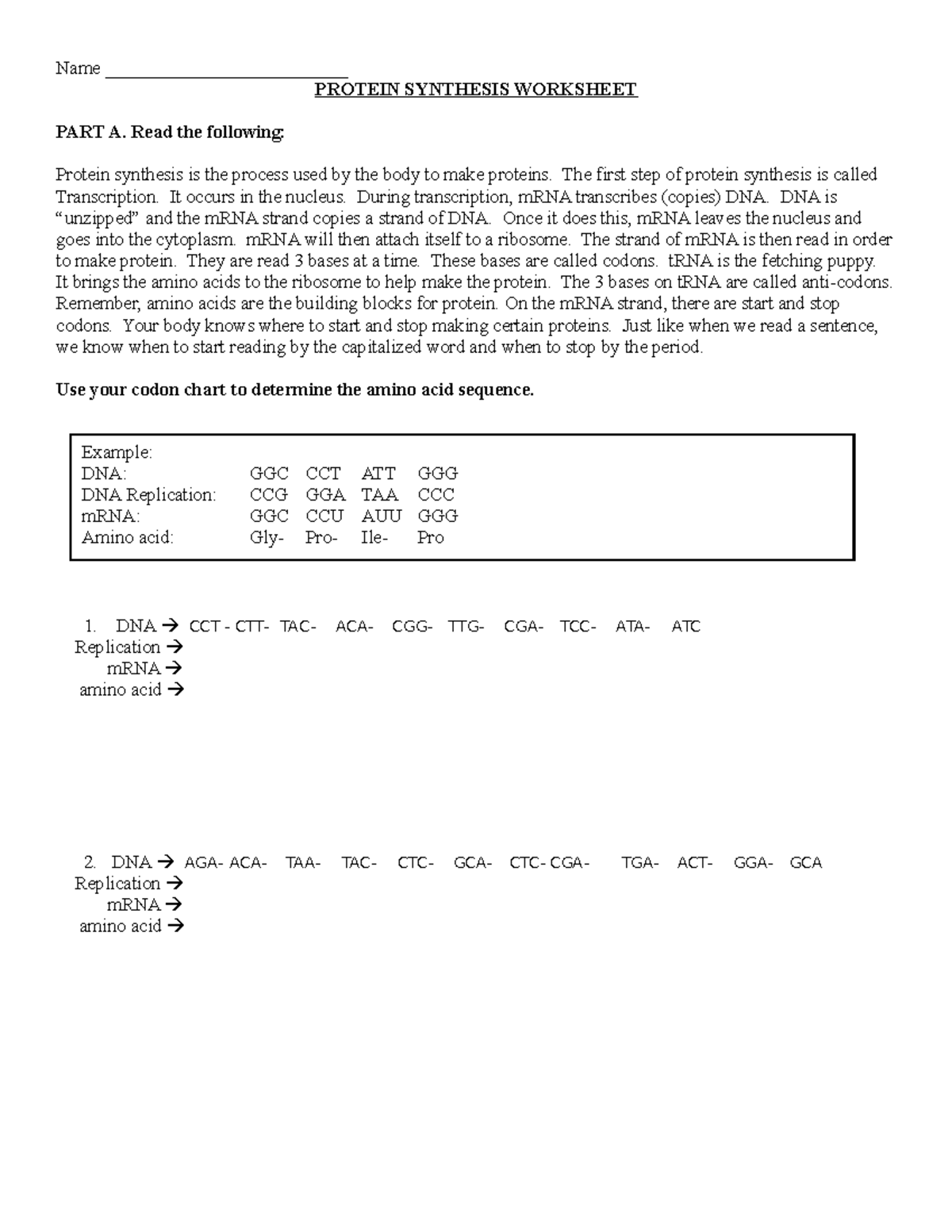 Protein Synthesis Worksheet BIOL 360 Xavier Studocu