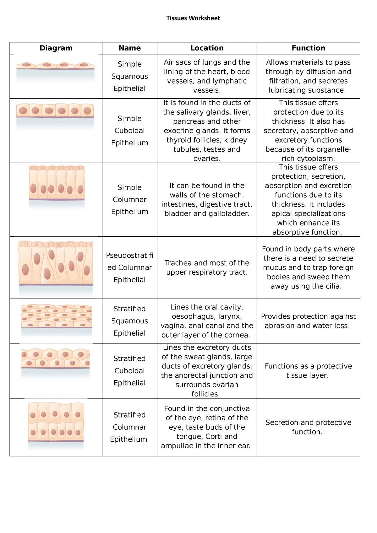 Tissues Worksheet - Tissues Worksheet Diagram Name Location Function ...