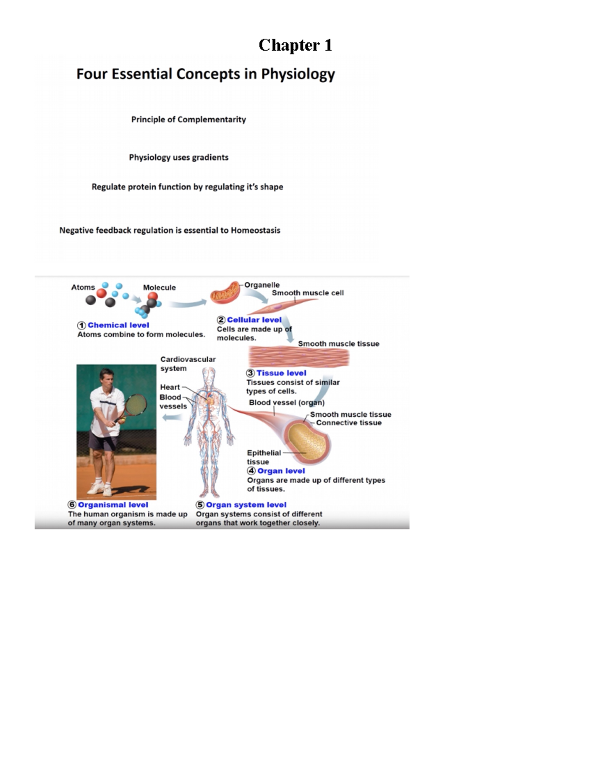 Online Lec. Chapter 1 - Lecture notes 1 - EXSC 223 - Chapter - Studocu