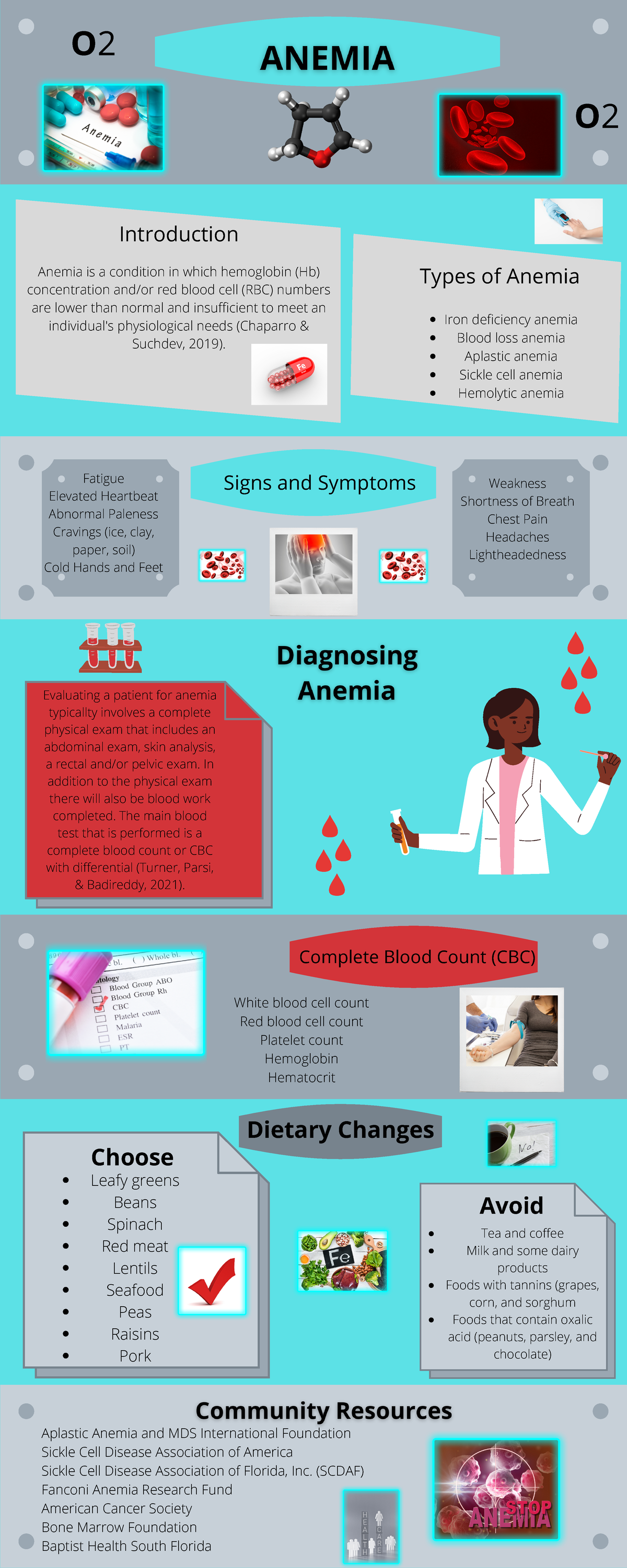 anemia-booklet-evaluating-a-patient-for-anemia-typicallty-involves