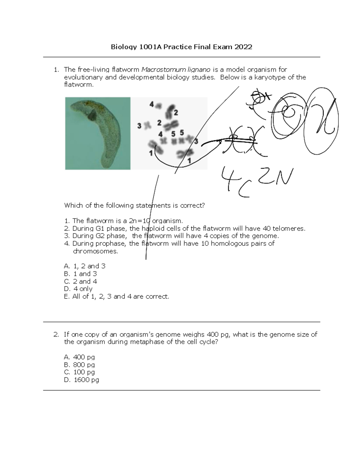 B1001A+Practice+Final+Exam+2022 - Biology 1001A Practice Final Exam 202 ...