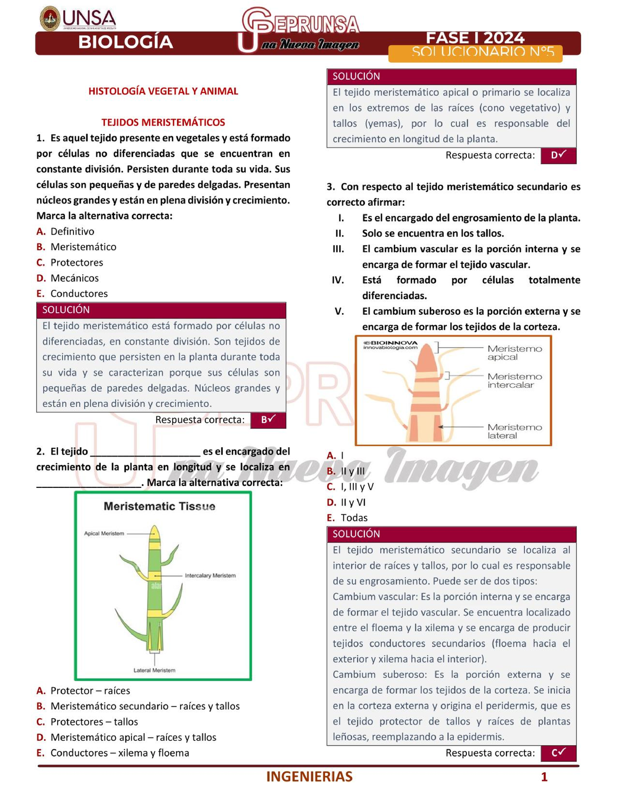 1. S5 (I) Biologia Ceprunsa I FASE 2024 - Programacion De Sistemas ...