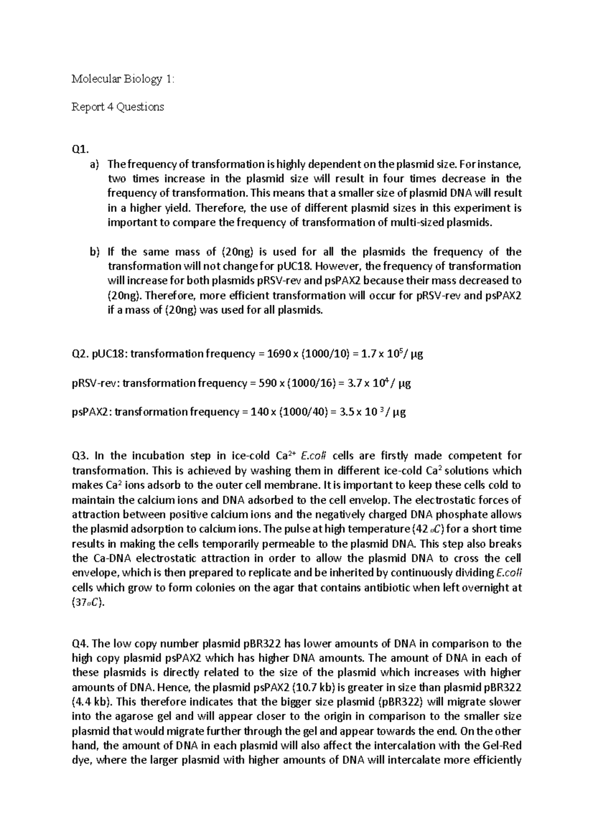Report 4 Molecular biology 1, Experiment 4 answers Molecular Biology