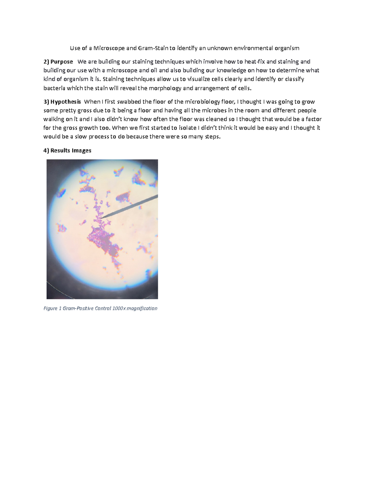 Lab Report Guidelines (Simple or Gram Staining) Use of a Microscope