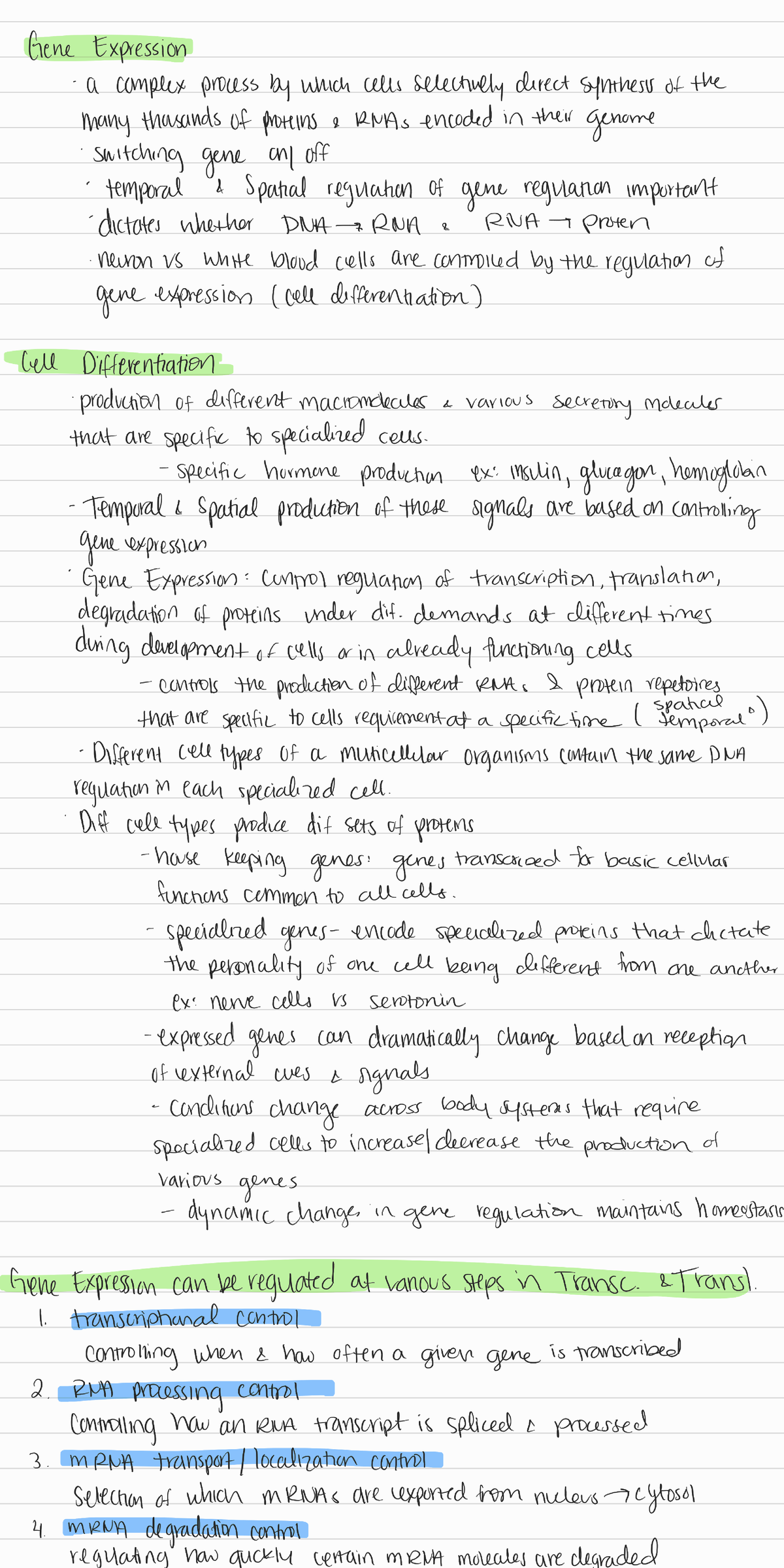 8 Control of gene expression - BIOL 300 - Studocu