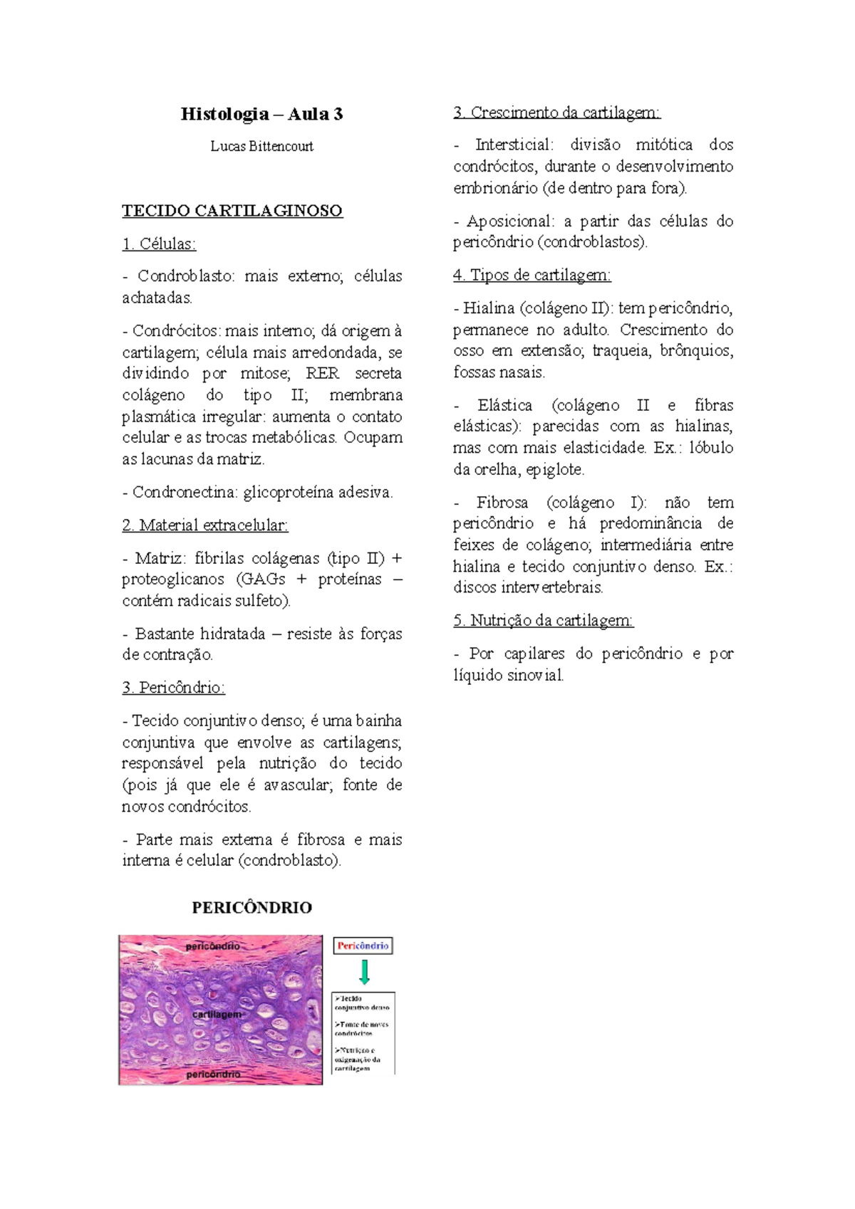 Aula 3 - Tecido Cartilaginoso - Histologia Aula 3 Lucas Bittencourt ...