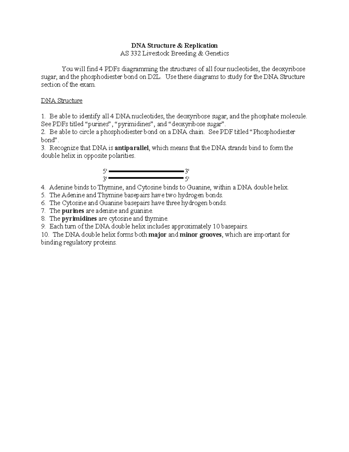 Dna Structure And Replication Worksheet Answers Pdf : Dna Structure