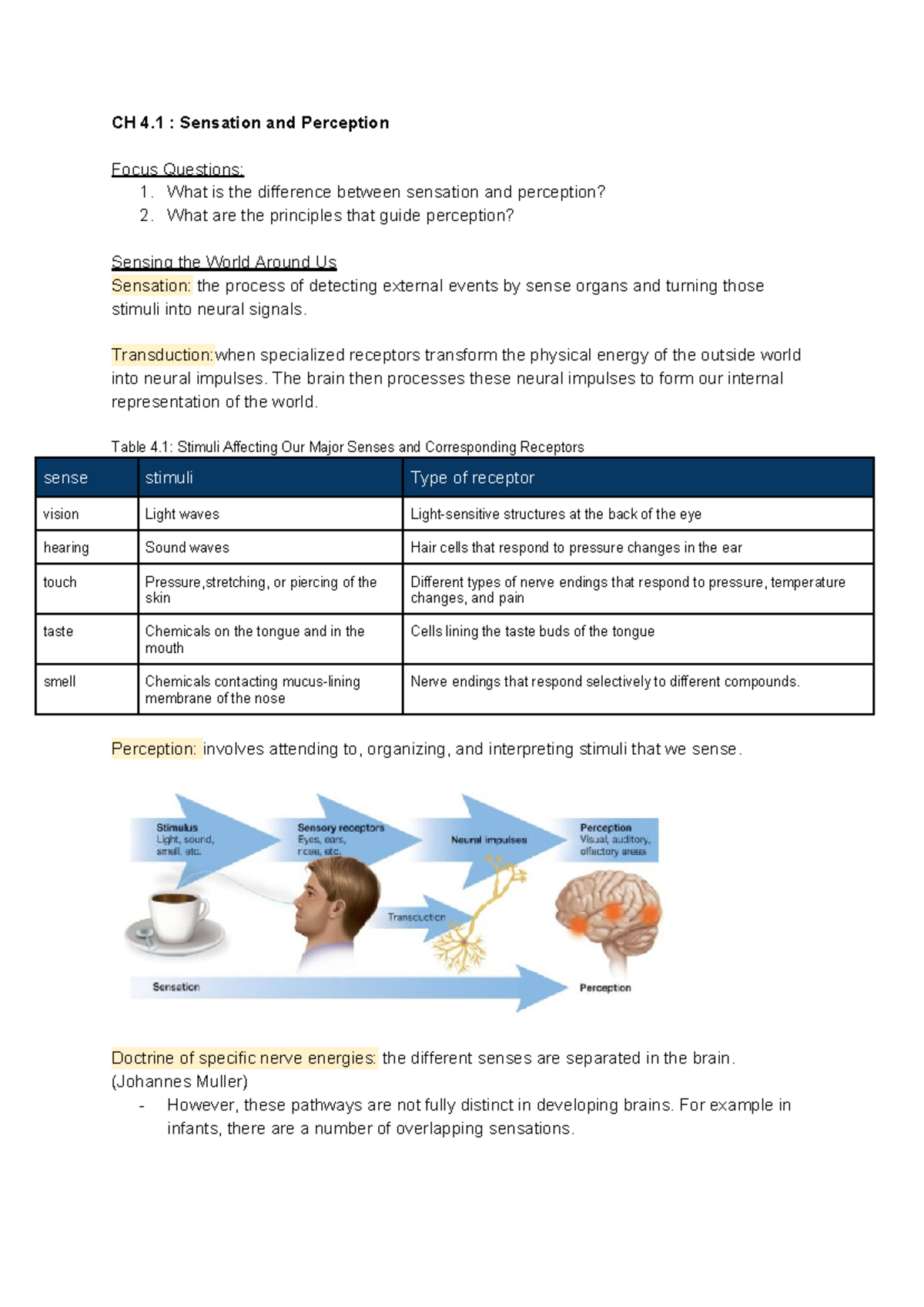 CH 4 Sensation and perception with Practice Questions - CH 4 ...